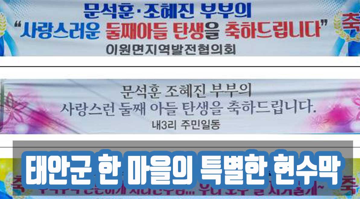 태안군 한 마을의 특별한 현수막: 2년만에 태어난 새 생명, 마을의 작은 기적