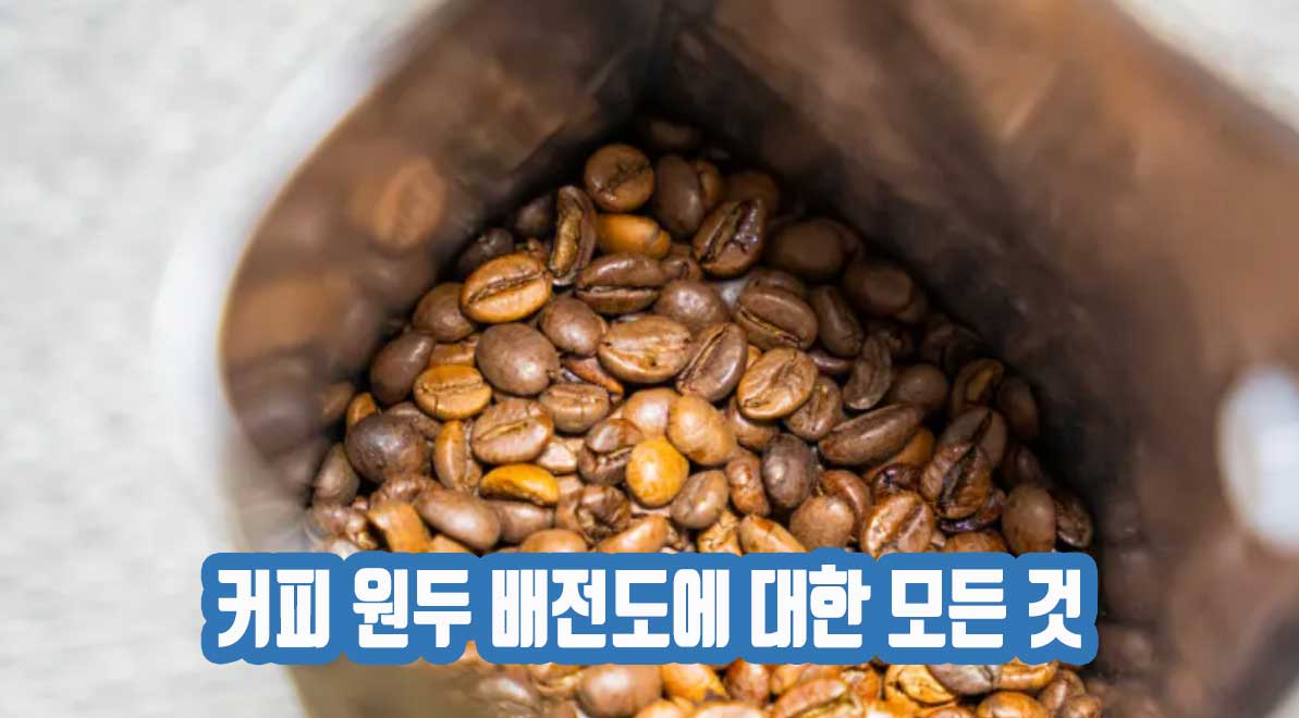 커피 원두 배전도에 대한 모든 것: 깊이 있는 이해와 선택 가이드