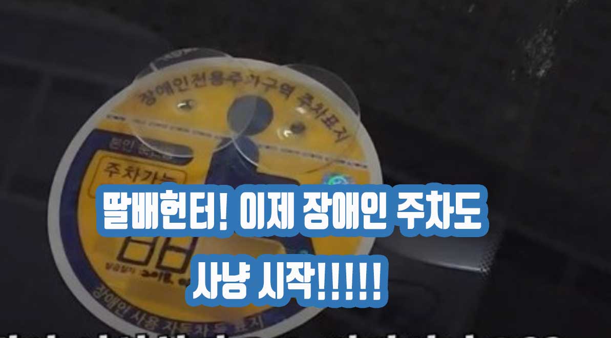 딸배헌터! 이제 장애인 주차까지 사냥 시작!