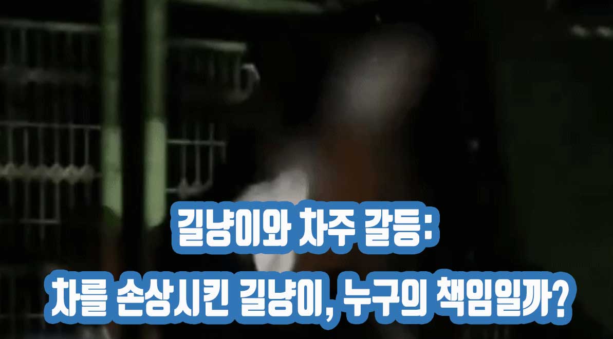 길냥이와 차주 갈등: 차를 손상시킨 길냥이, 누구의 책임일까?