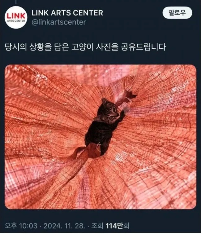 뮤지컬 사과문에 “고양이 사진은요?”…링크아트센터 대처 재조명